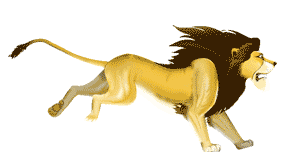 Gif animé lion court
